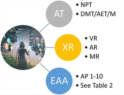 Dance as a mental health therapy in the Metaverse: exploring the therapeutic potential of Dance Movement Therapy as a non-pharmacological treatment in the Metaverse